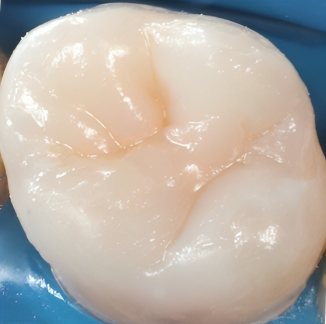 Gydytojos odontologės Viltės Gabalytės atvejis po